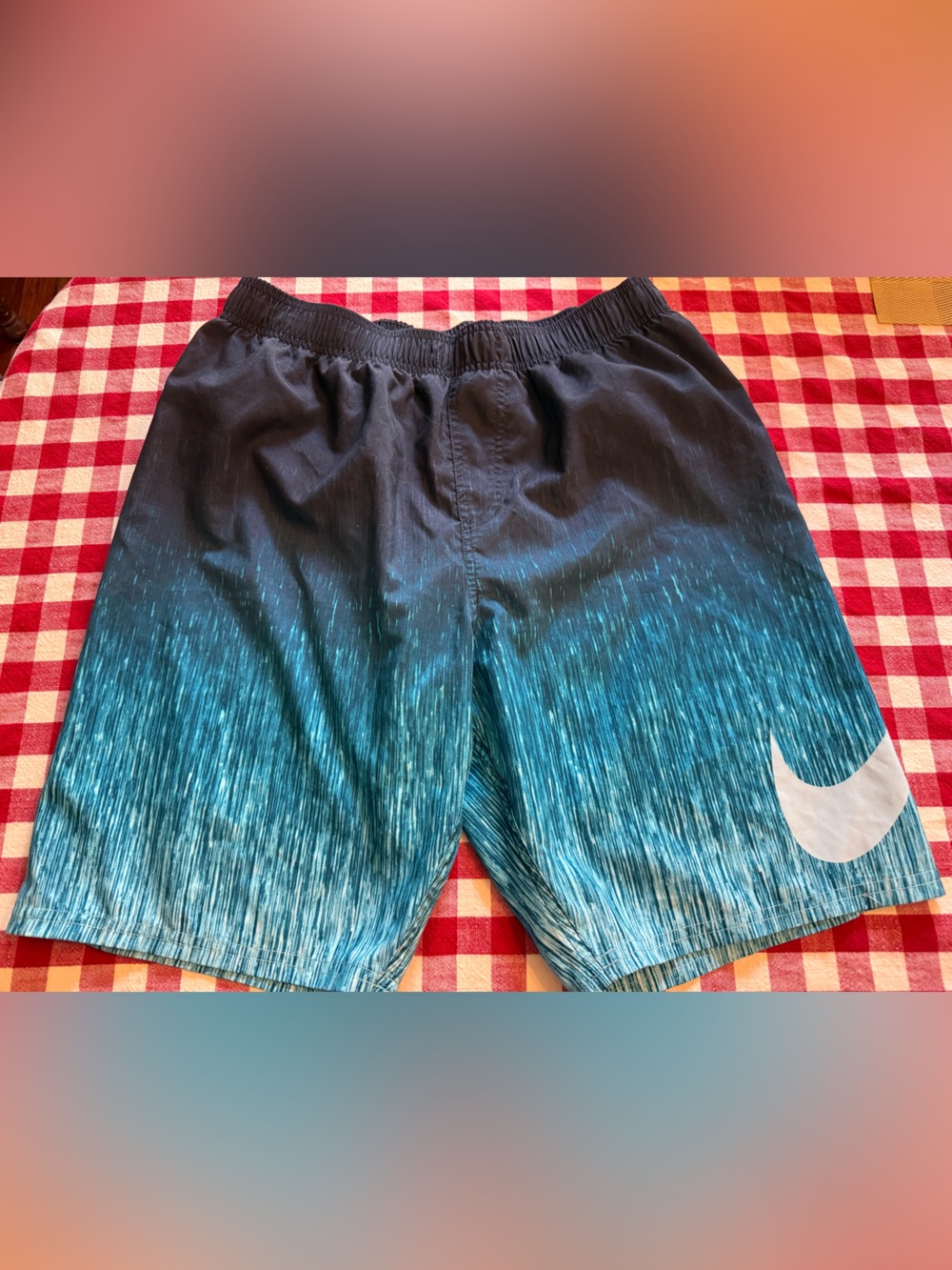 Nike swim trunks liner swoosh navy and blue